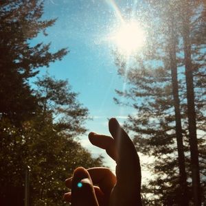 Meet your Posher, Veronica